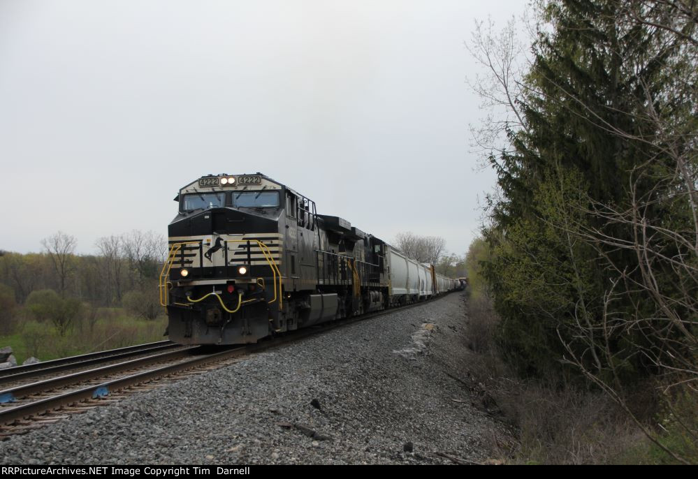NS 4222 leads 310